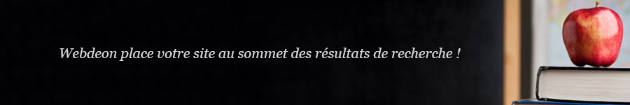 Campagne publicitaire Google AdWords